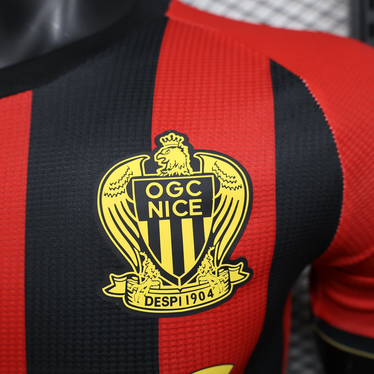 OGN Nice 2024/25 Home