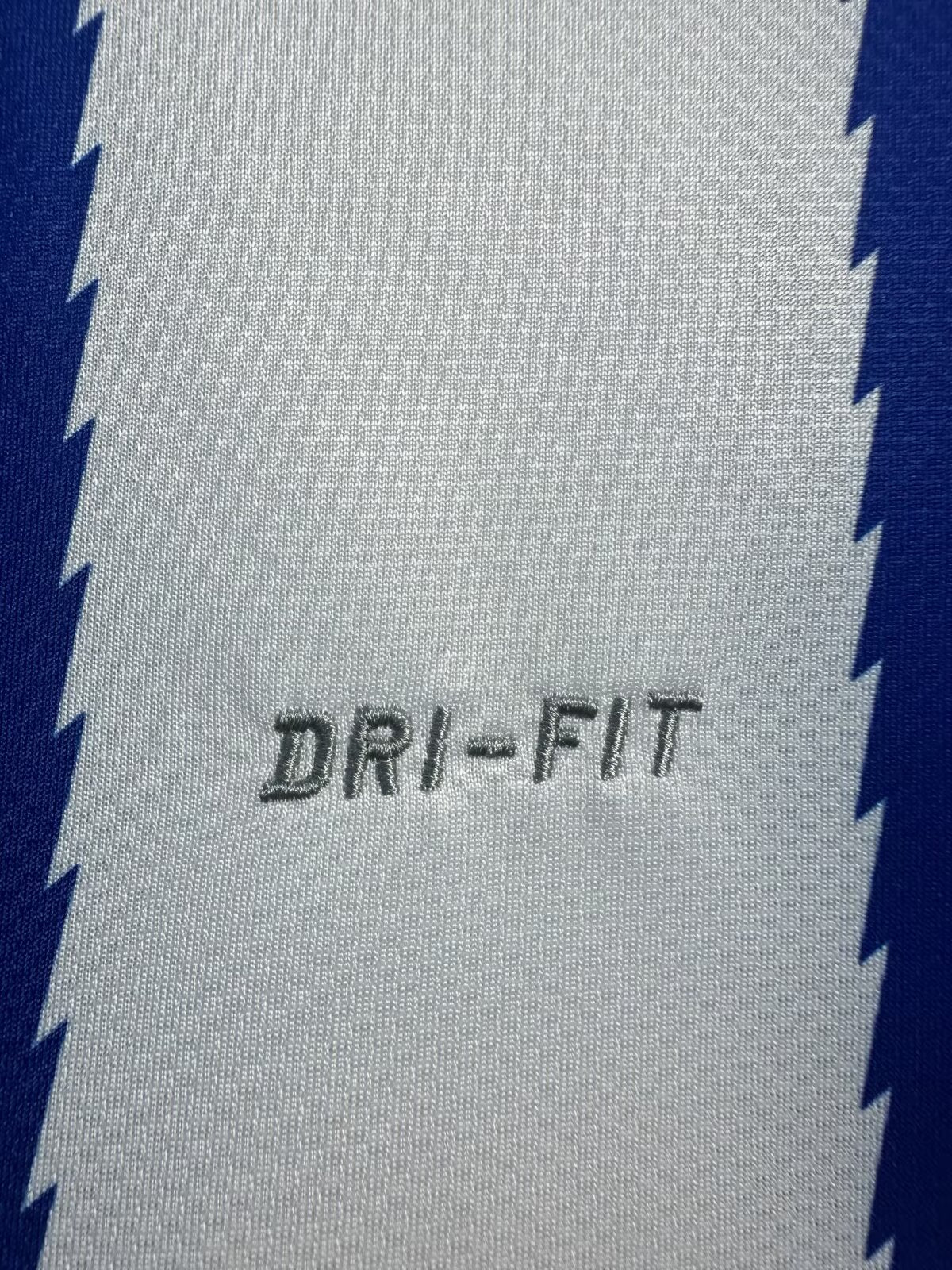 Porto 2010/11 Home