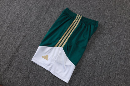 Italy Sleeveless Training Kit - Green/White