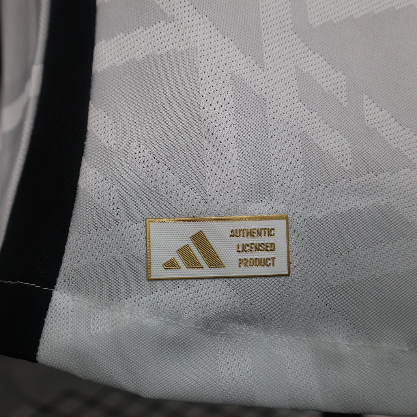 Germany 2024 EURO Home