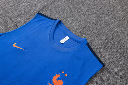 France Sleeveless Training Kit - Blue