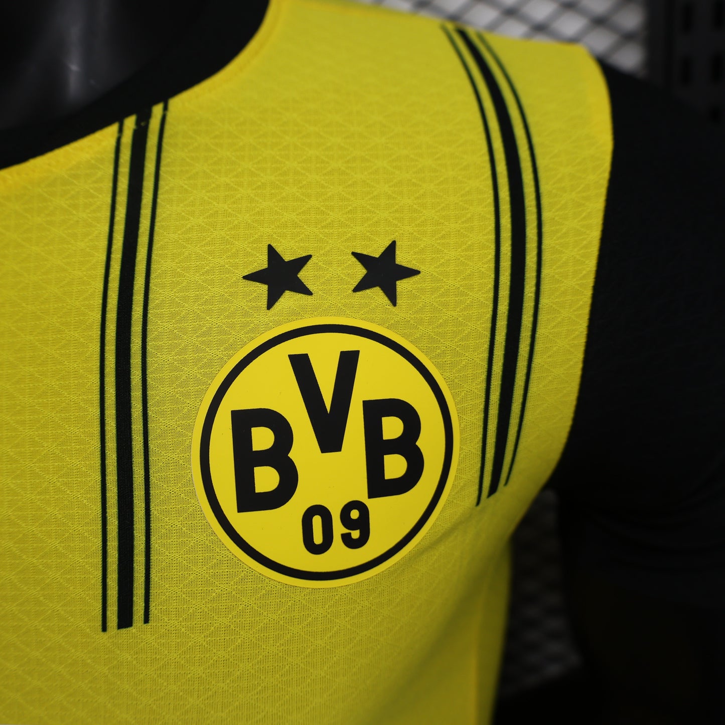 Borussia Dortmund 2024/25 Home