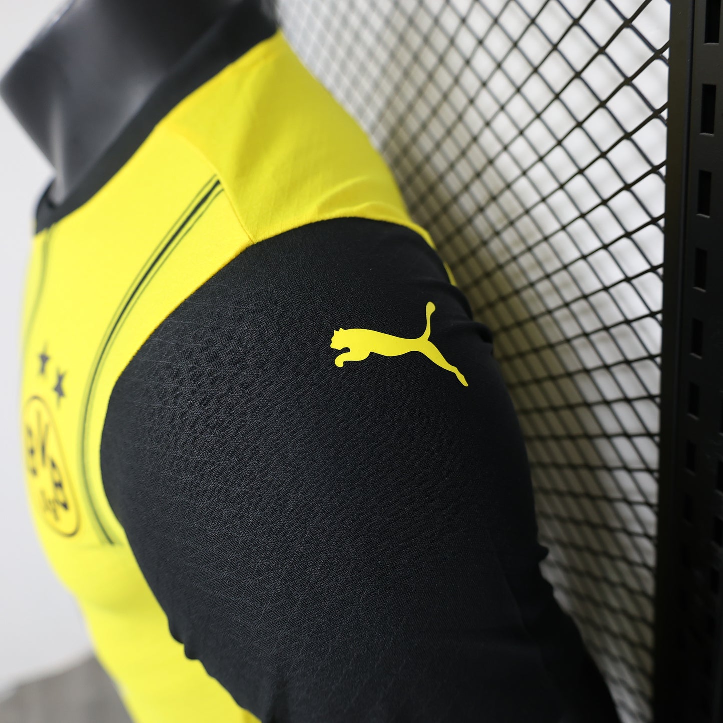 Borussia Dortmund 2024/25 Home