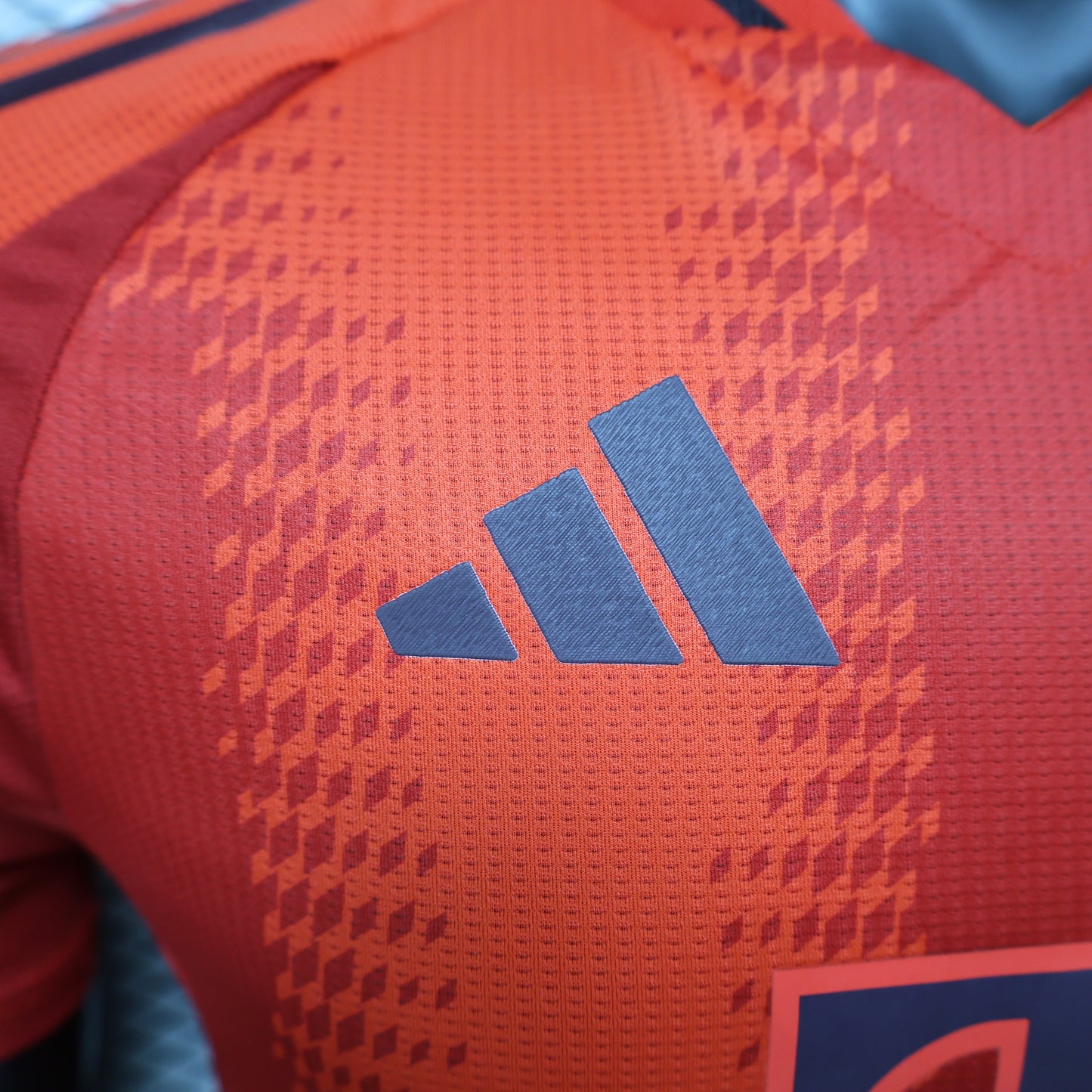 FC Bayern Munich 2024/25 Home
