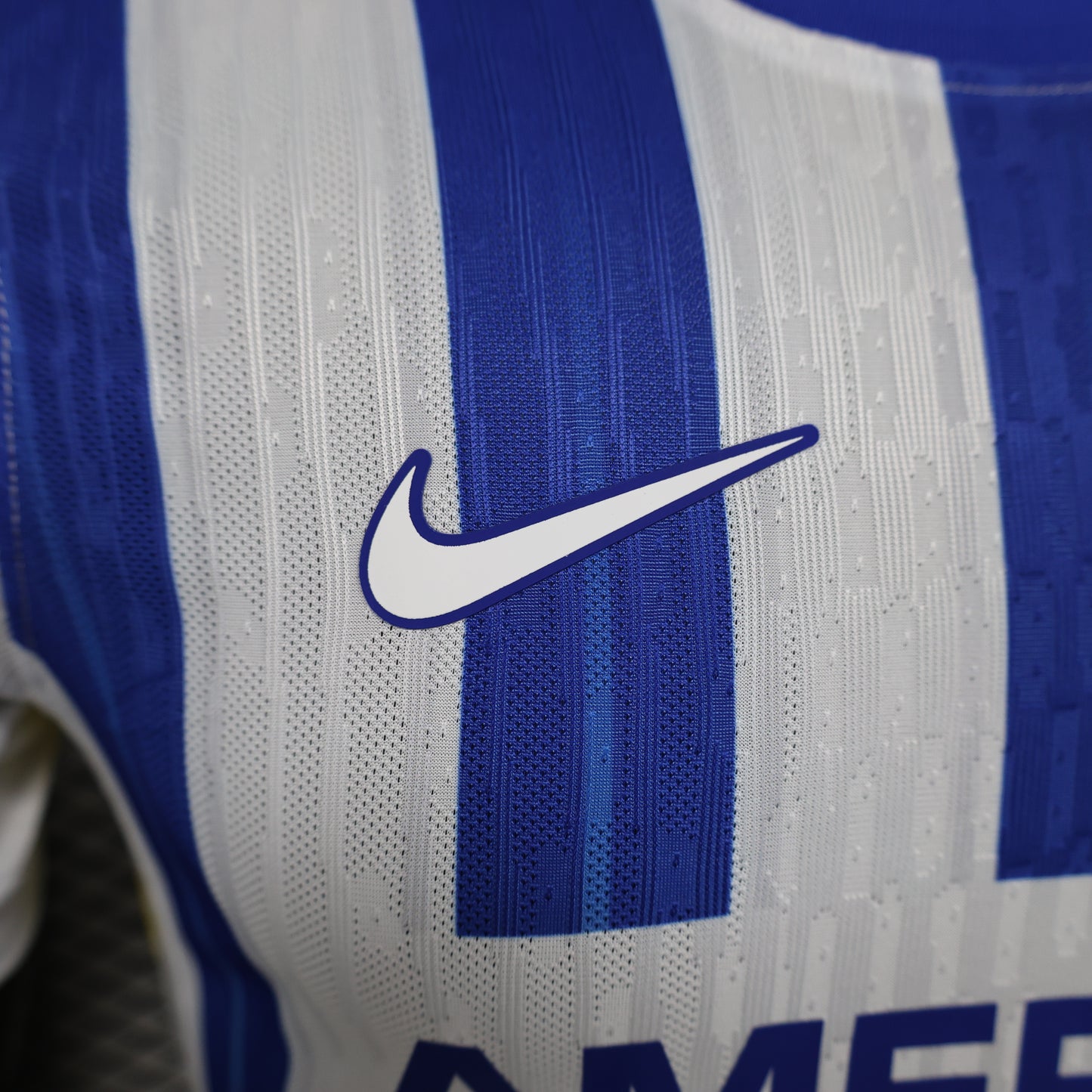 Brighton & Hove Albion 2024/25 Home