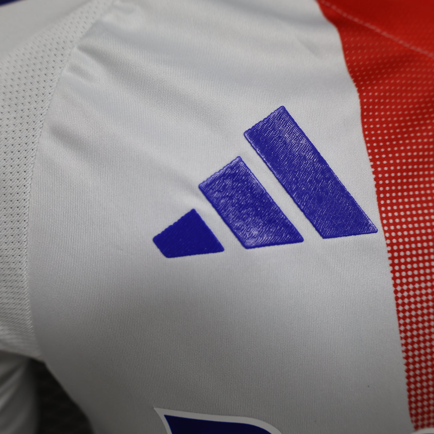 Olympique Lyon 2024/25 Home