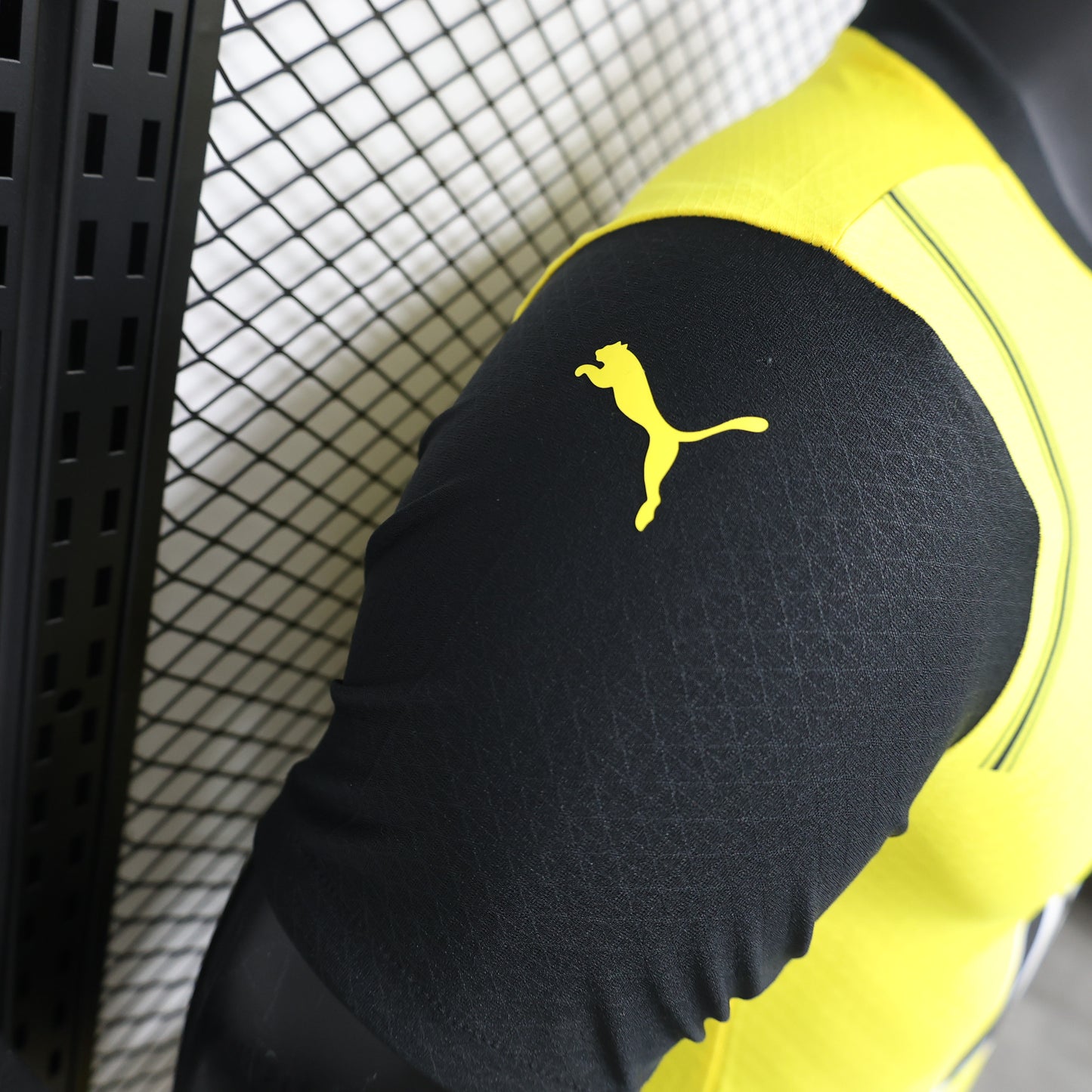 Borussia Dortmund 2024/25 Home