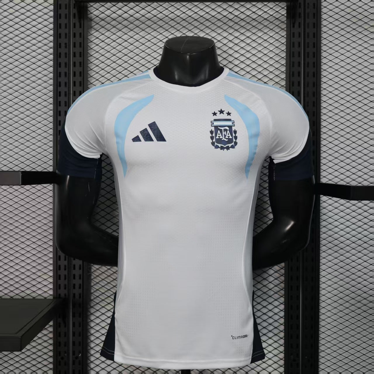 Argentina 2026 World Cup Training