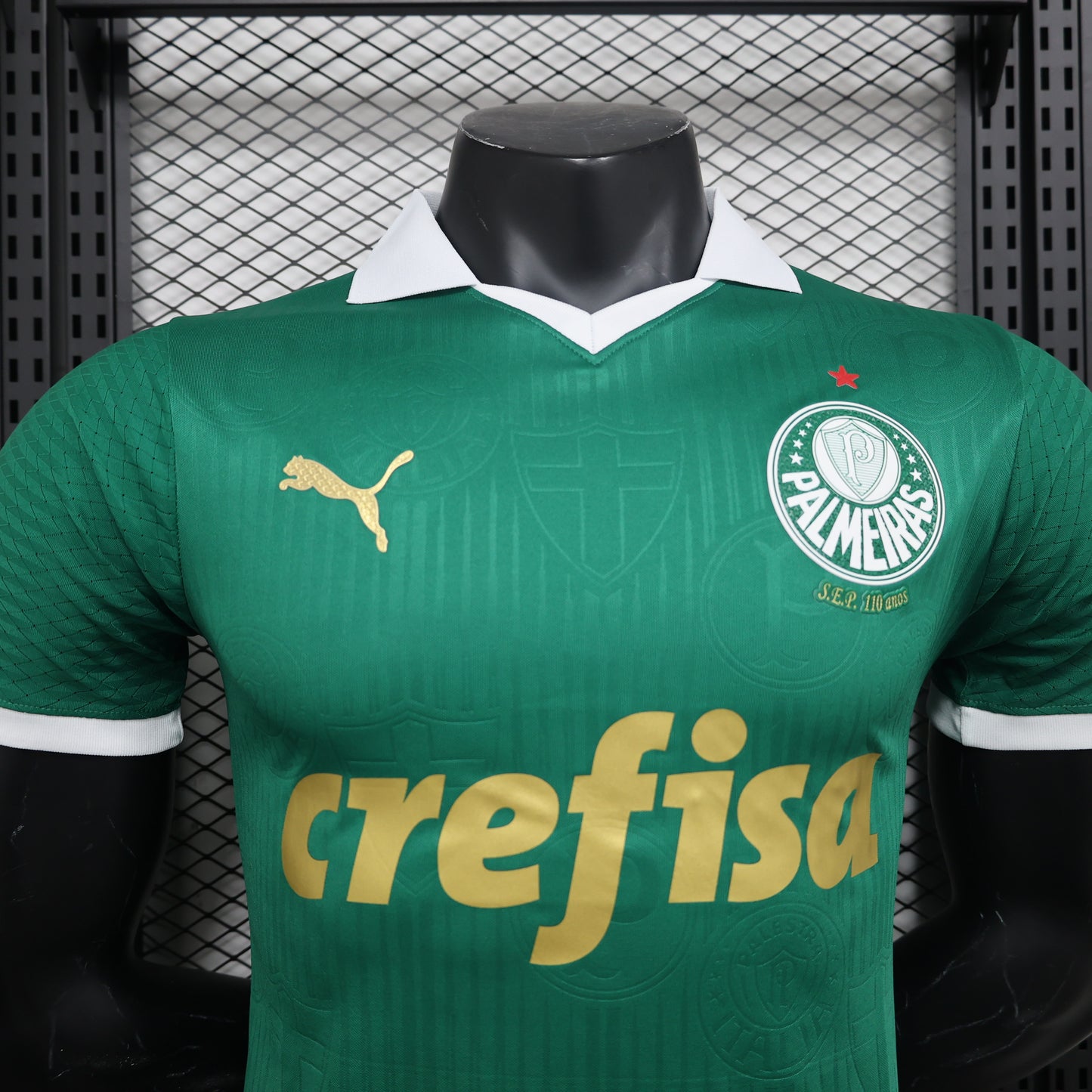 Palmeiras 2024 Home (2-5 DAY DELIVERY)