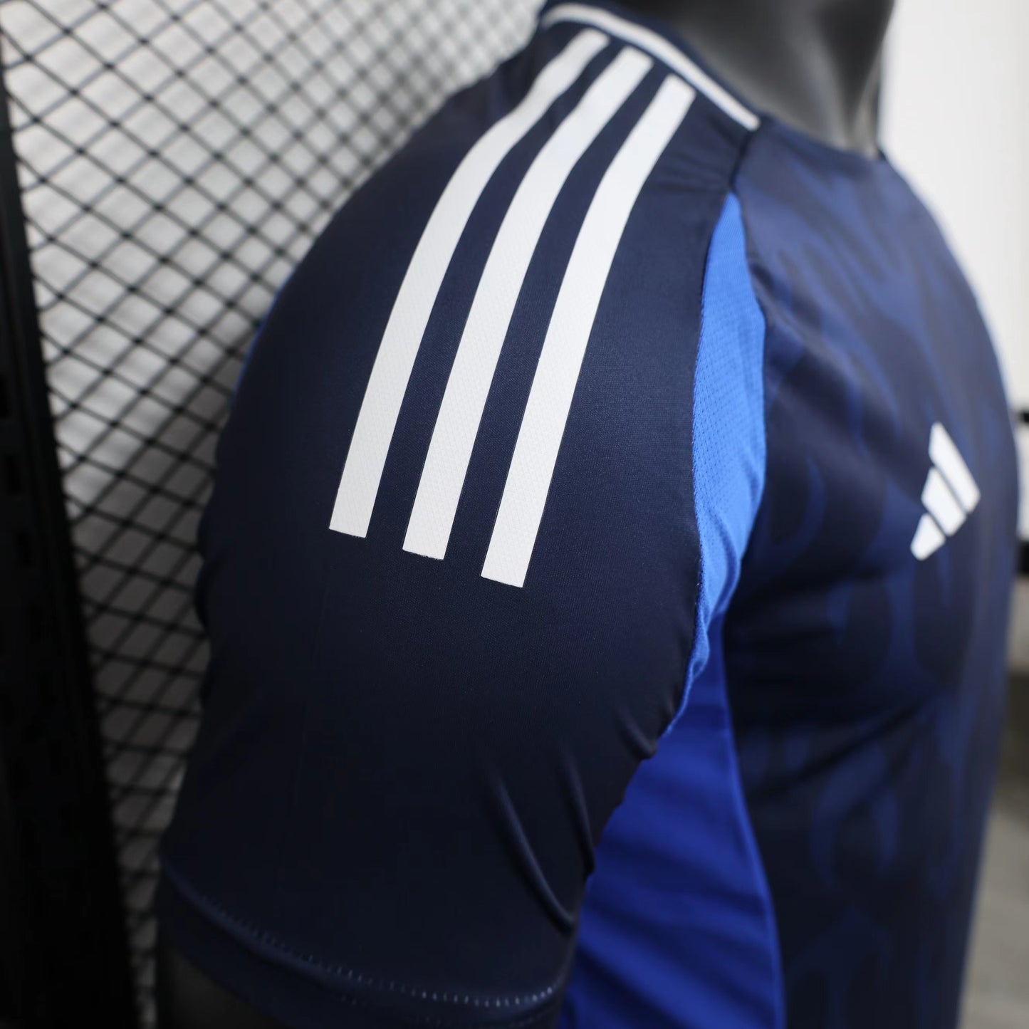 Japan 2024/25 Home