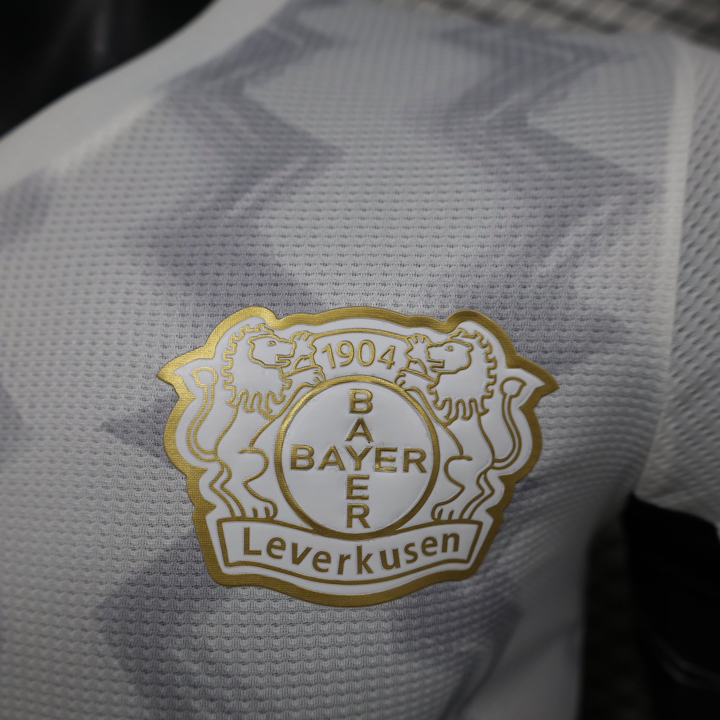 Bayer 04 Leverkusen 2024/25 Away