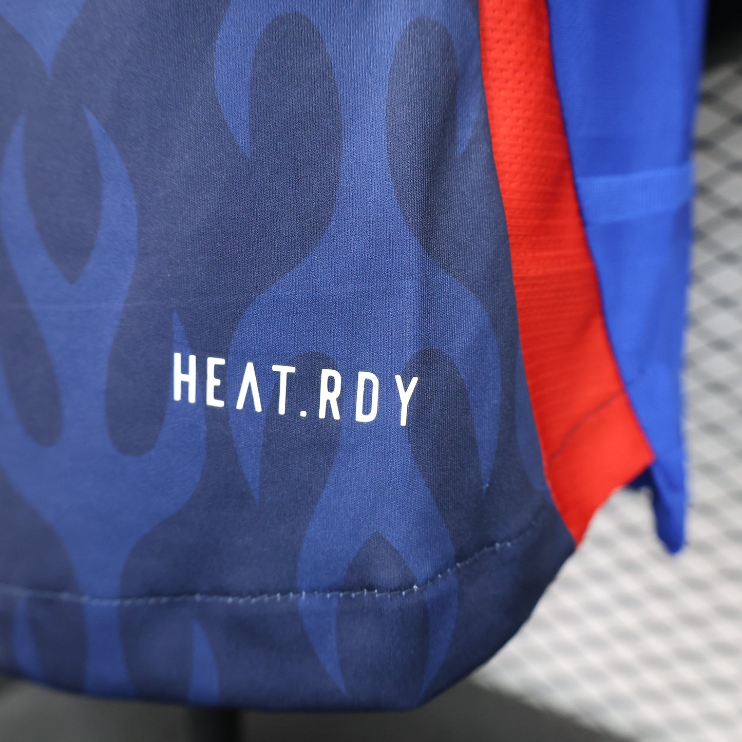 Japan 2024/25 Home