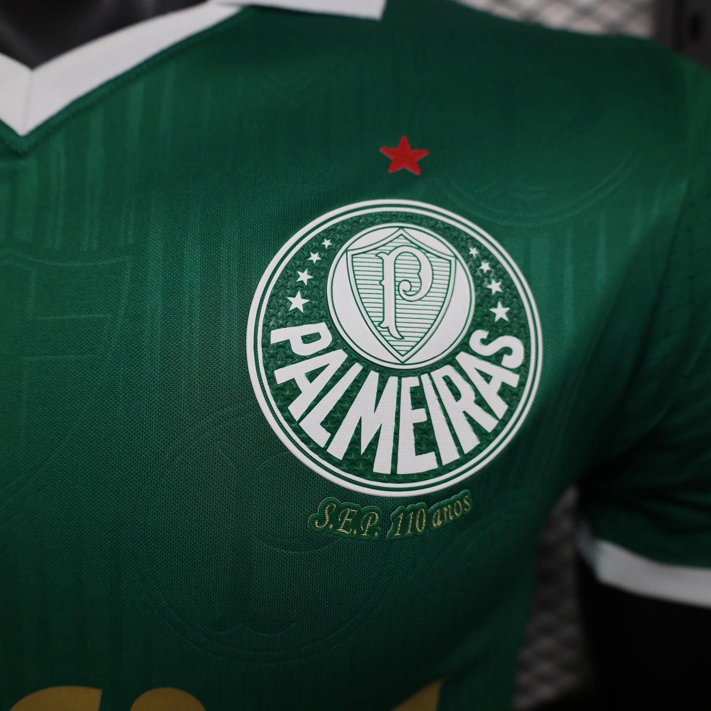 Palmeiras 2024 Home (2-5 DAY DELIVERY)
