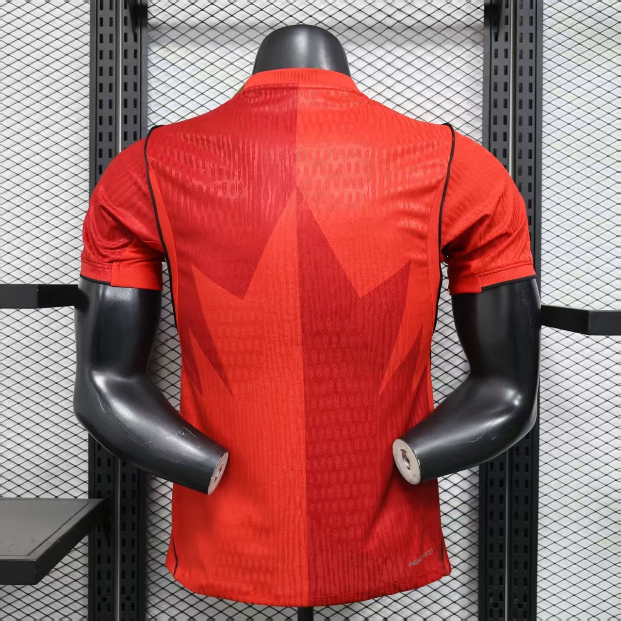 Canada 2026 World Cup Home