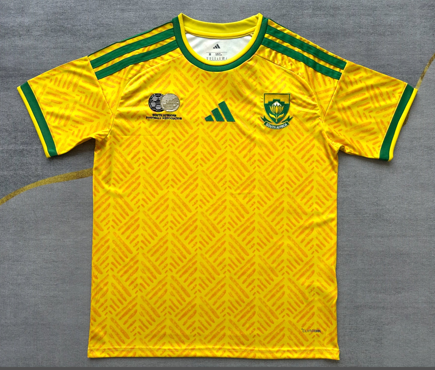 South Africa 2026 World Cup Home