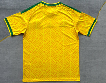 South Africa 2026 World Cup Home