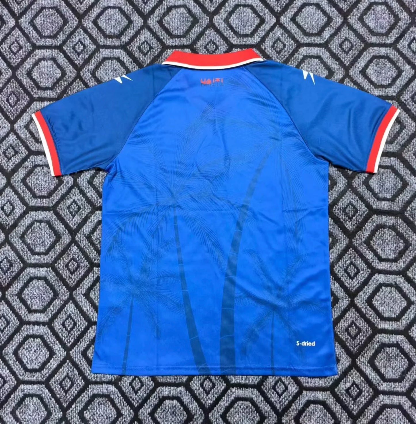 Haiti 2026 World Cup Home