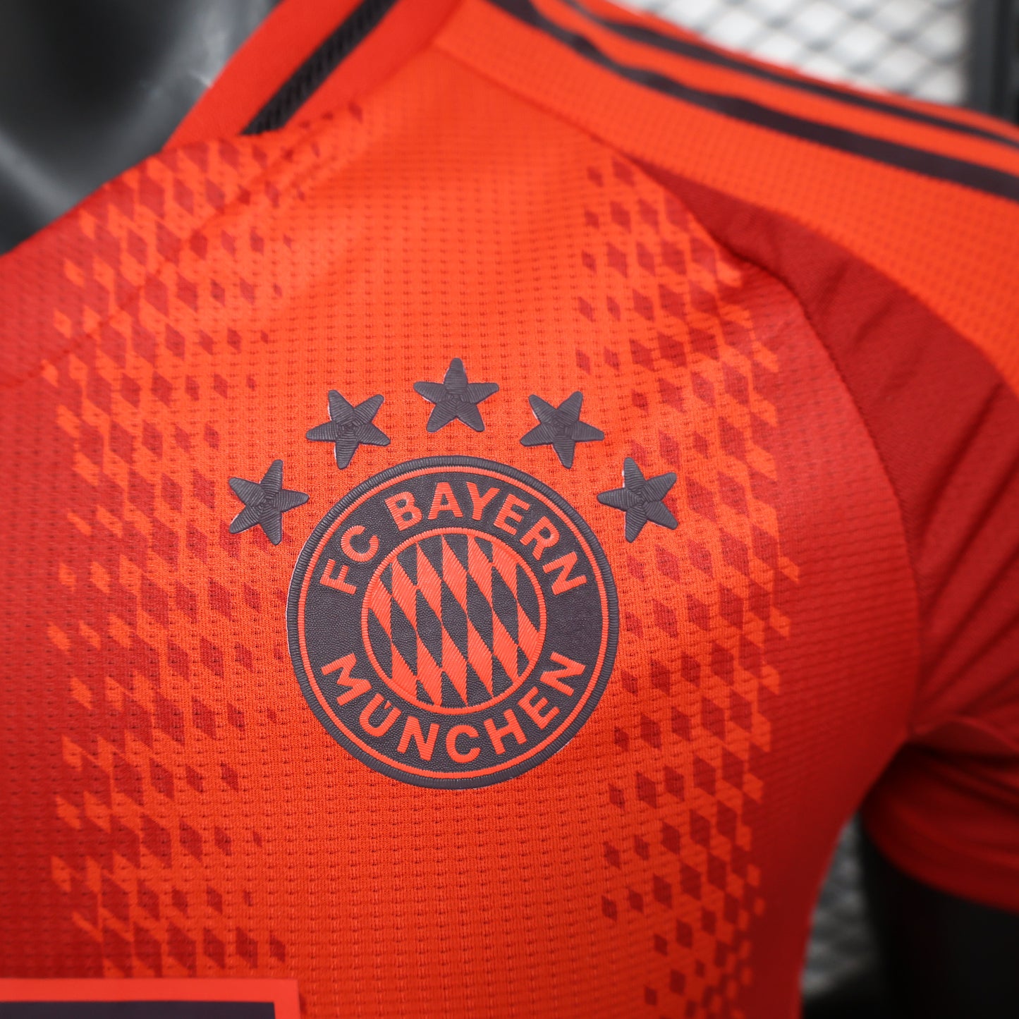 FC Bayern Munich 2024/25 Home