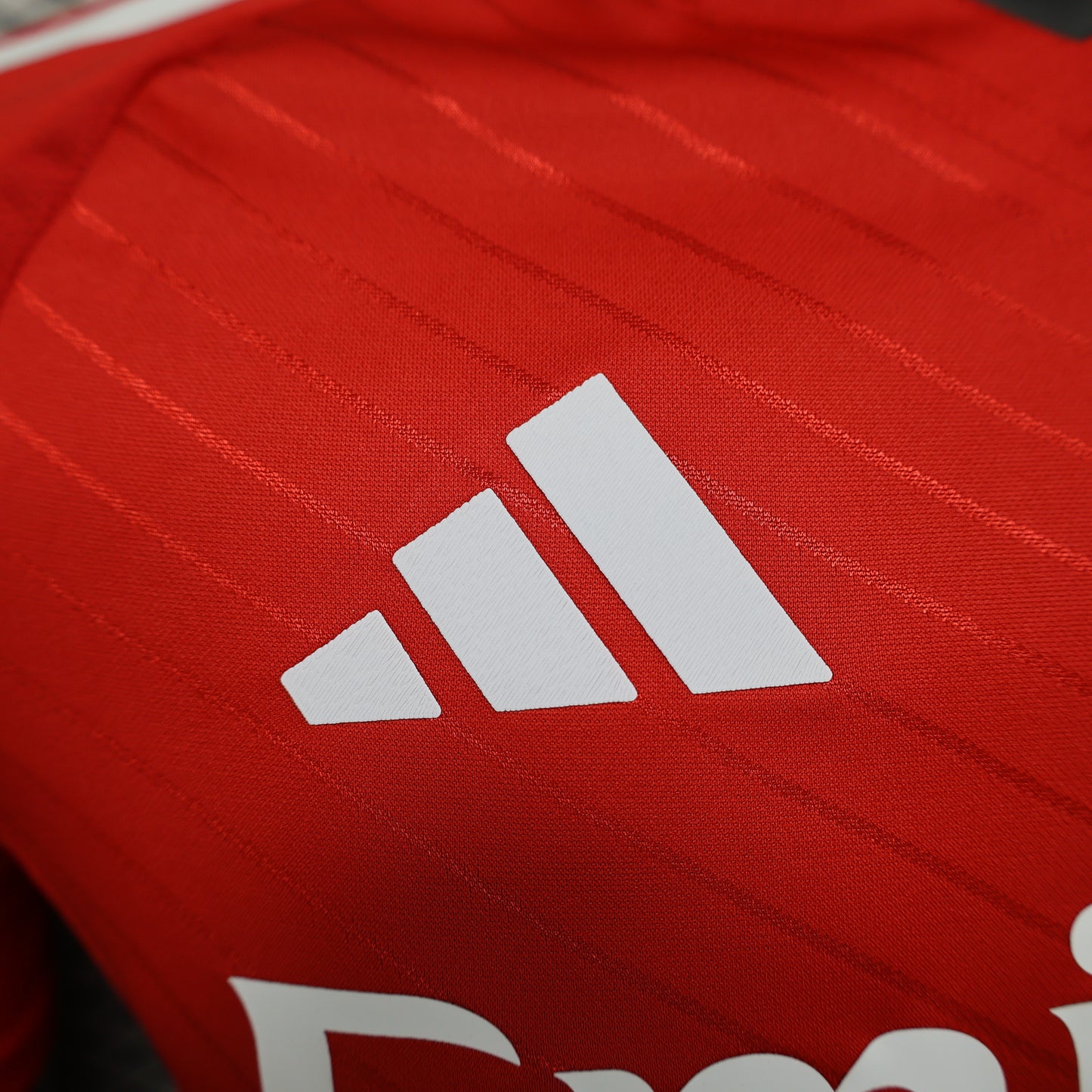 S.L. Benfica 2024/25 Home