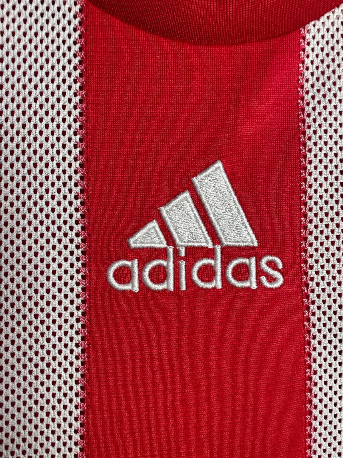Bayern Munich 2010/11 Home