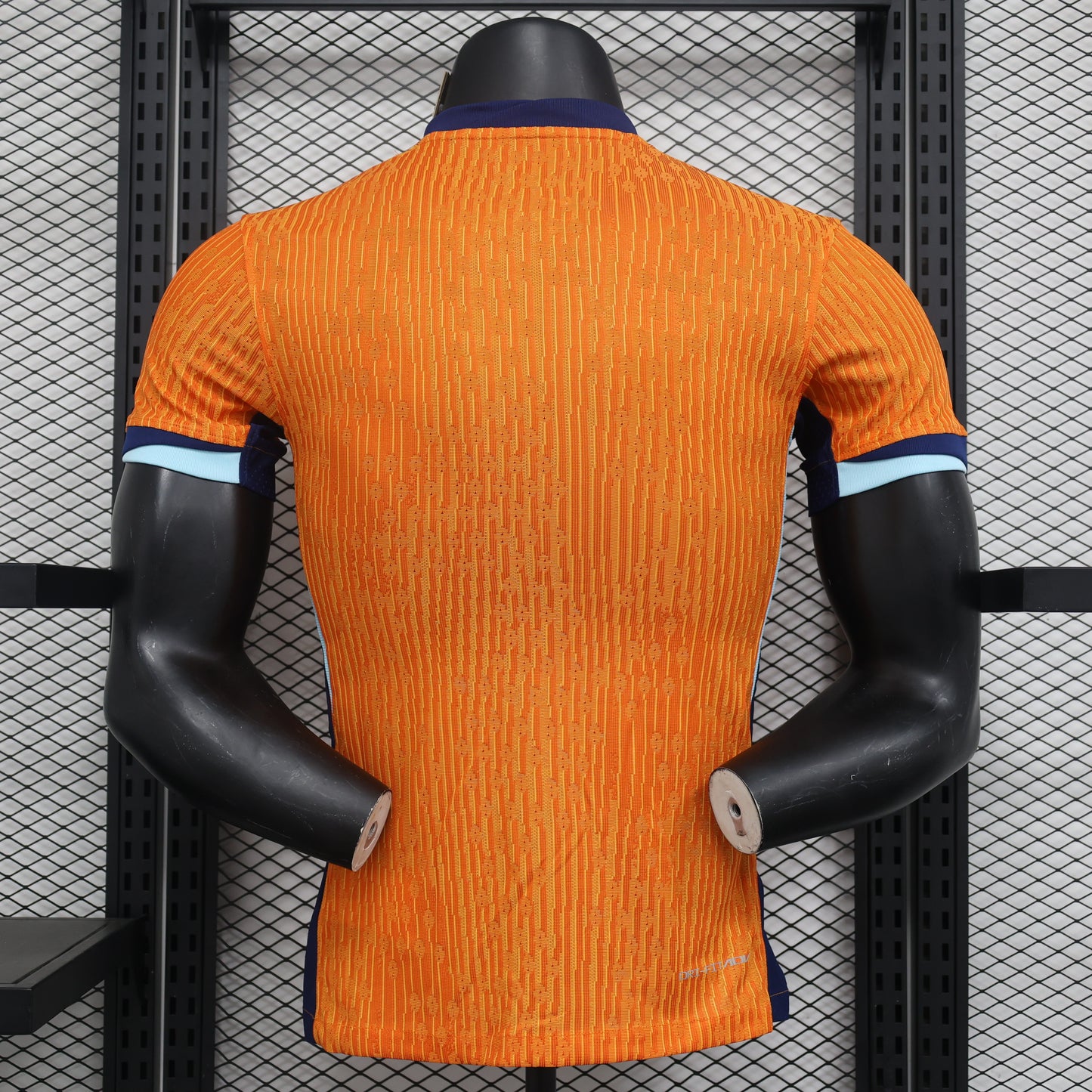 Netherlands 2024 EURO Home