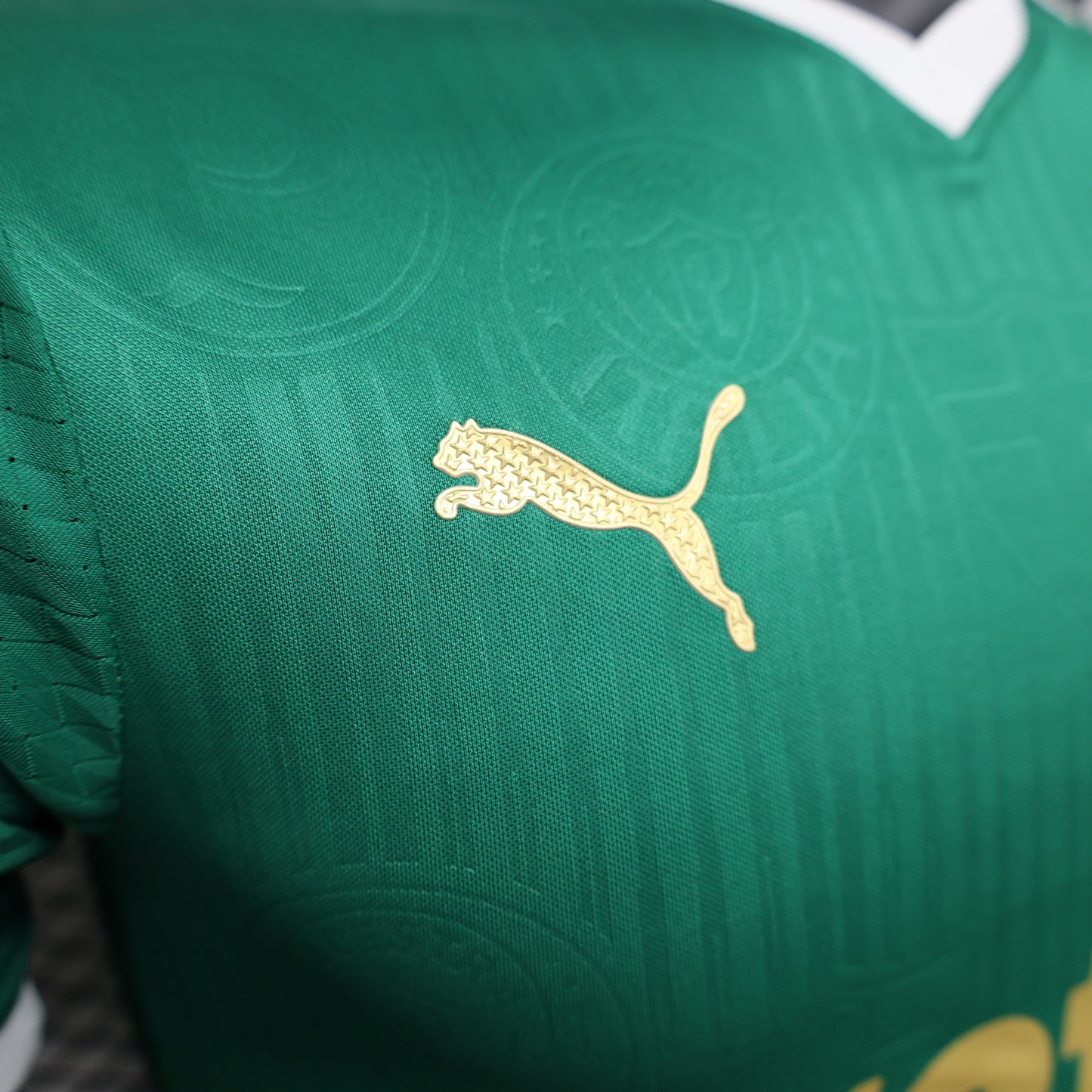 Palmeiras 2024 Home (2-5 DAY DELIVERY)