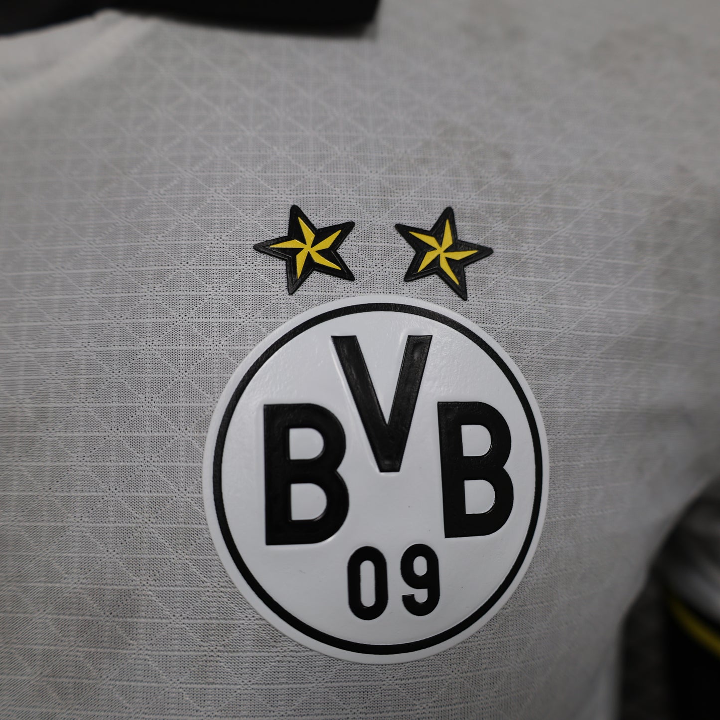 Borussia Dortmund 2024/25 Third
