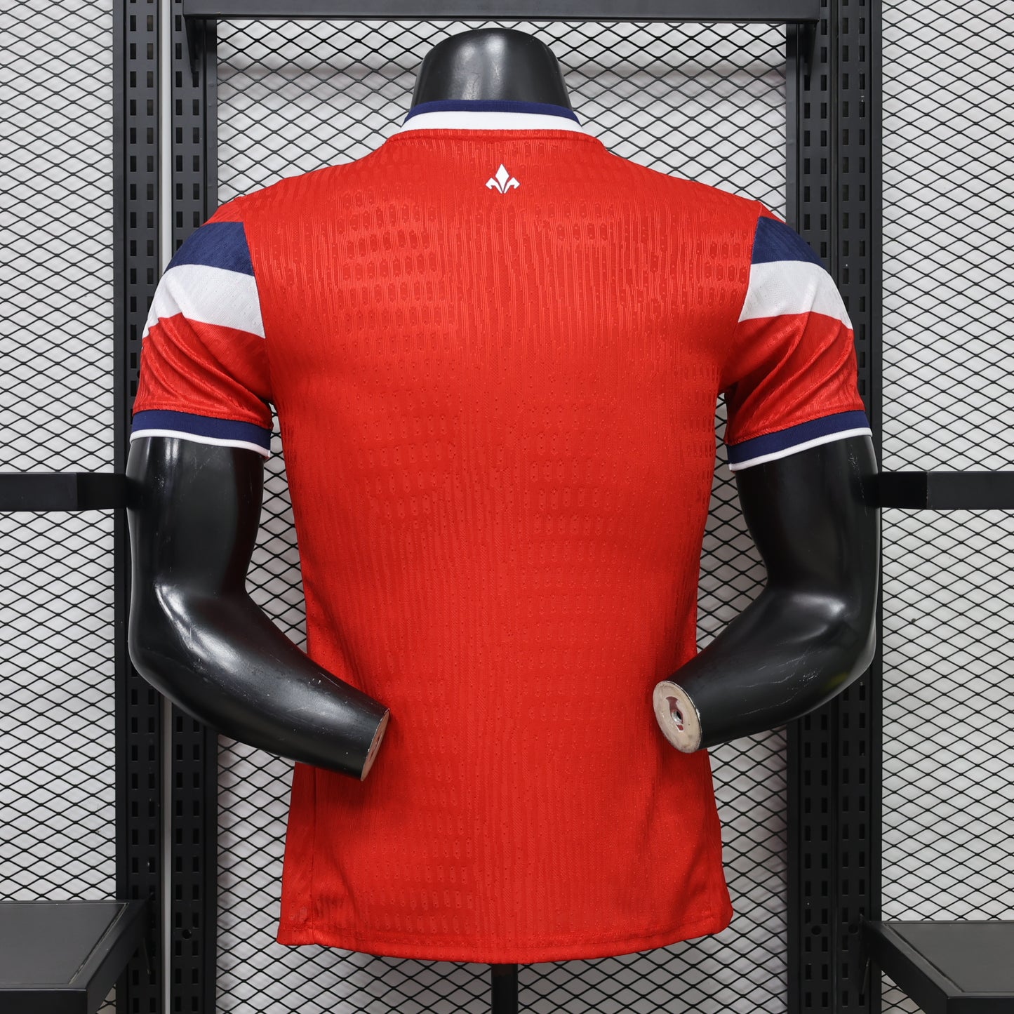 Lille OSC 2026/27 Home