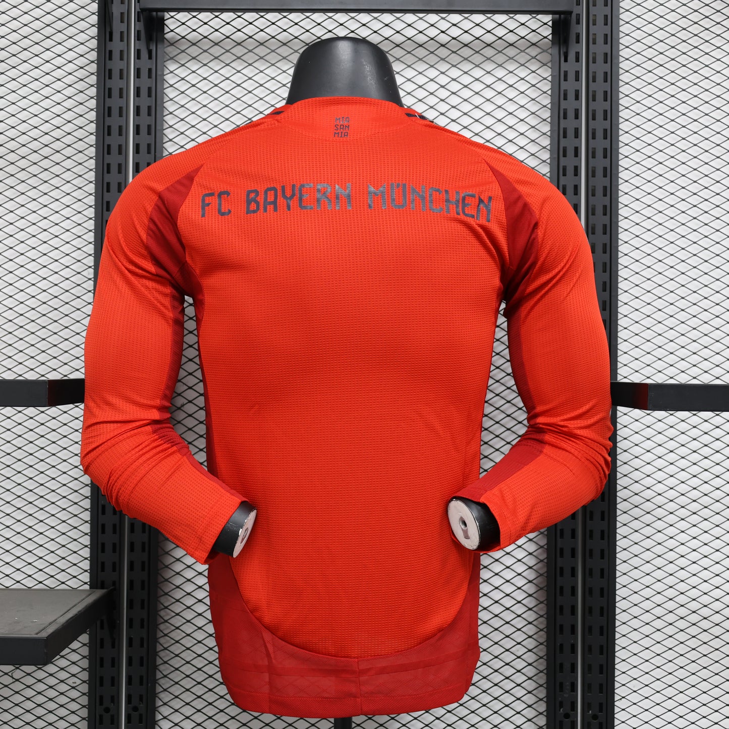 FC Bayern Munich 2024/25 Home