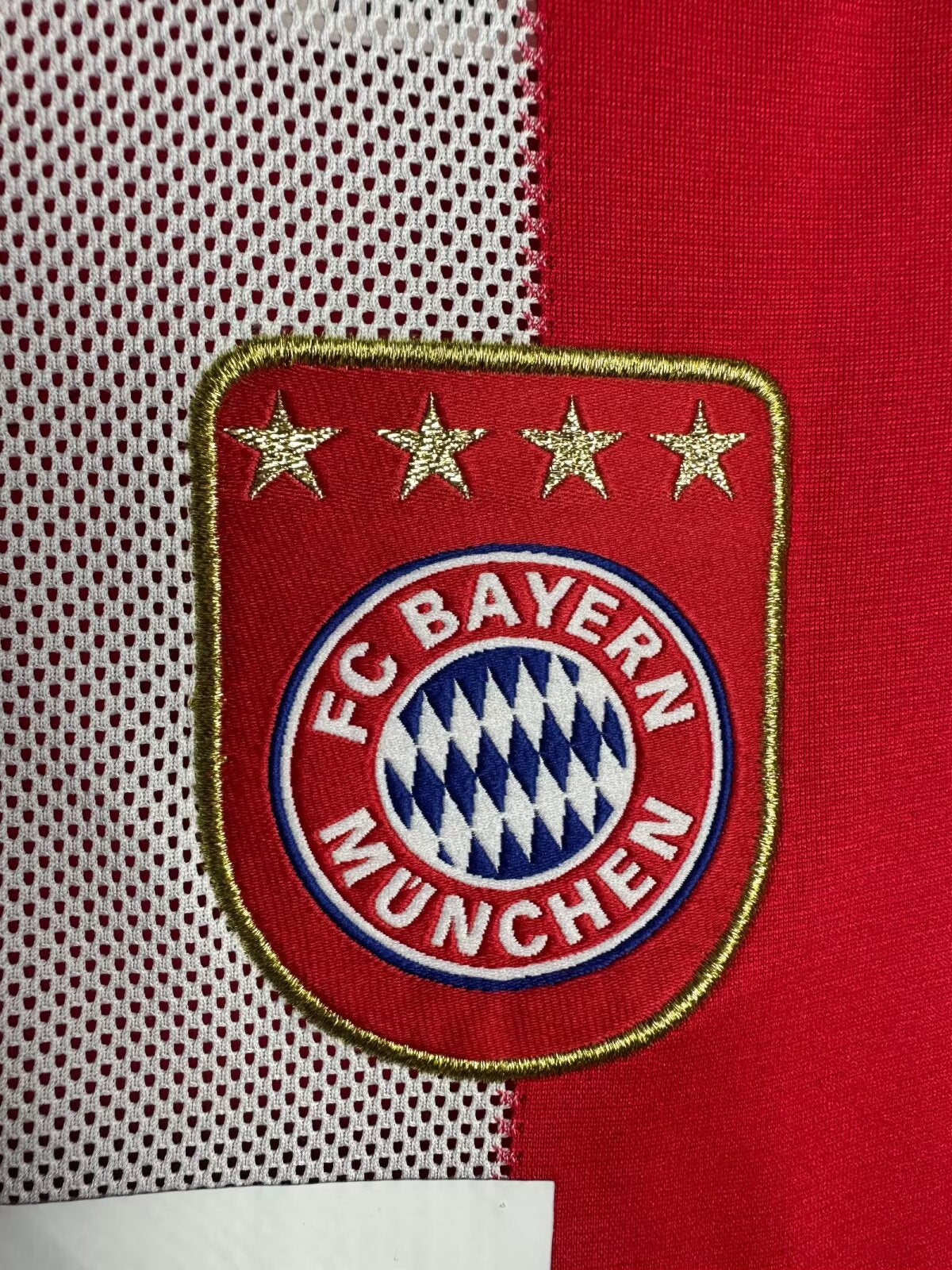 Bayern Munich 2010/11 Home