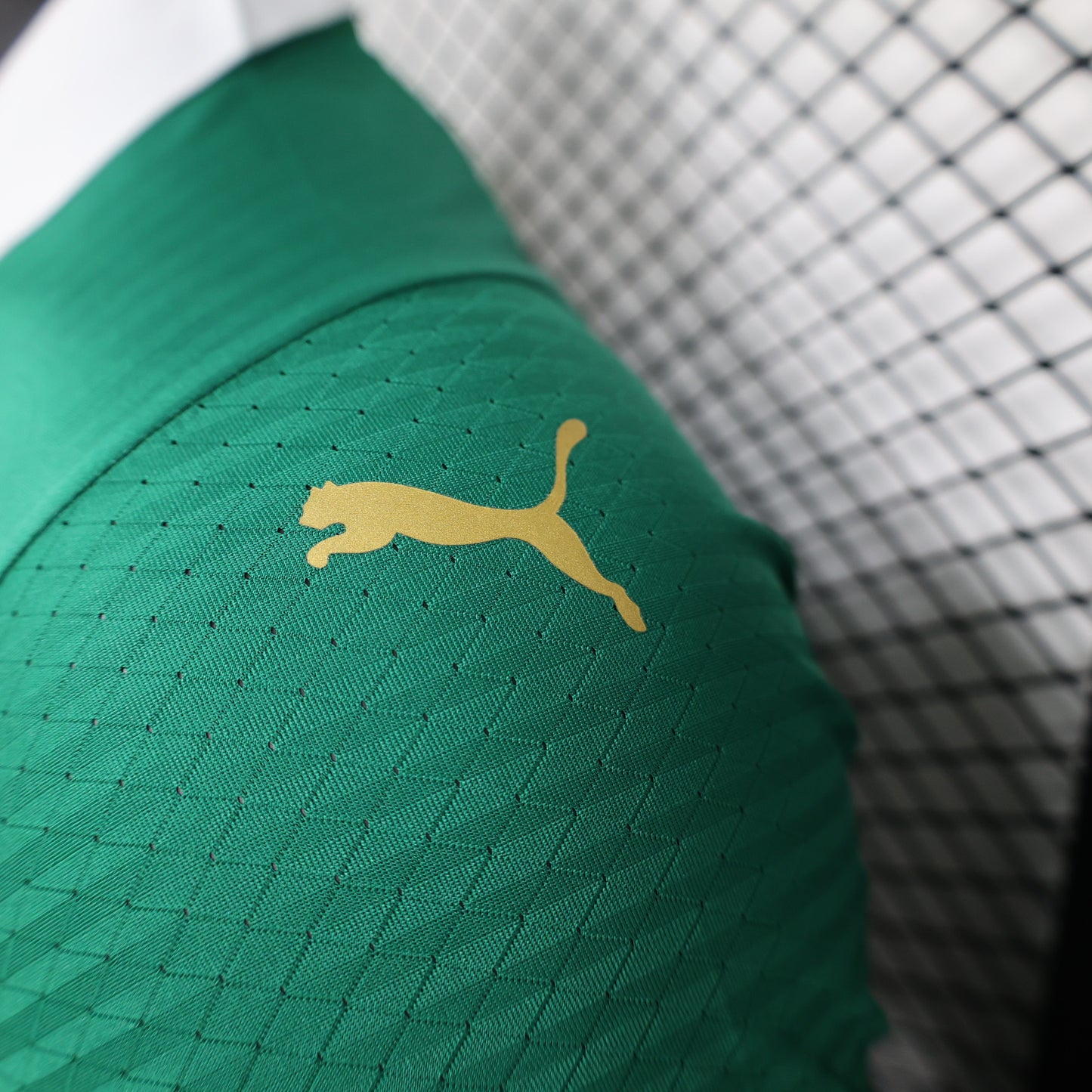 Palmeiras 2024 Home (2-5 DAY DELIVERY)