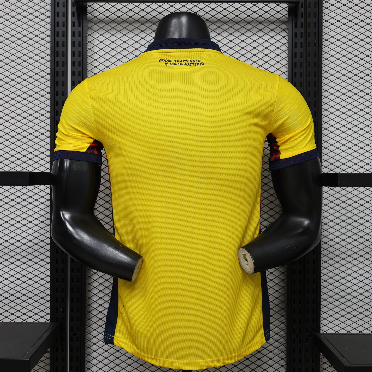 Ecuador 2026 World Cup Home