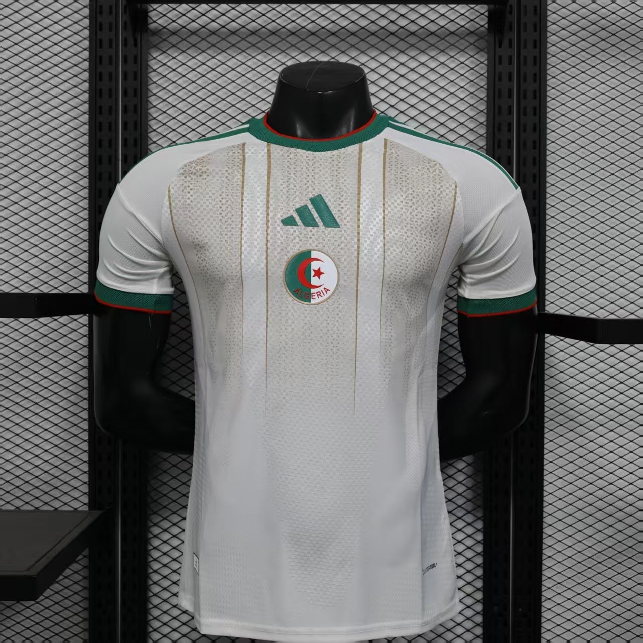 Algeria 2026 World Cup Home