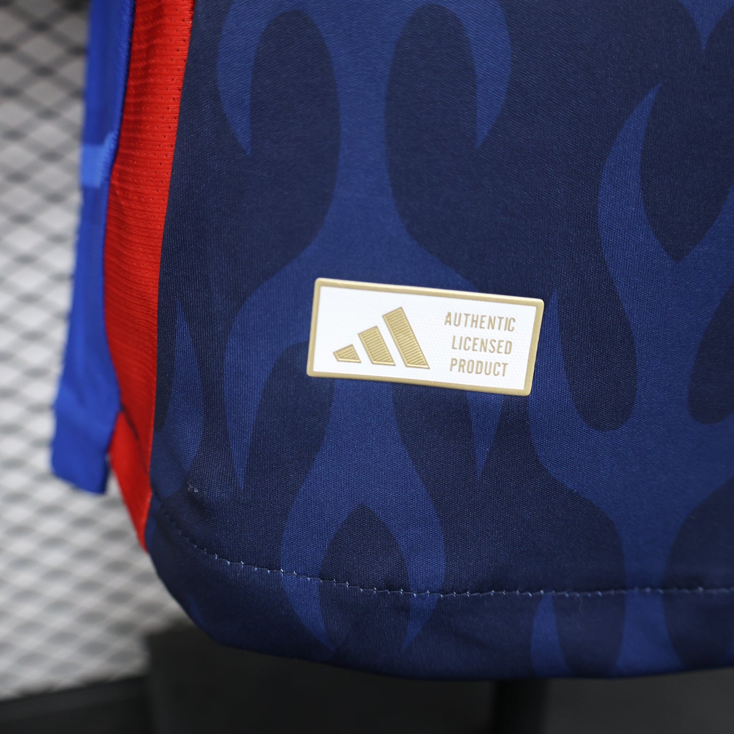 Japan 2024/25 Home