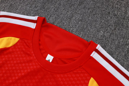 Germany Sleeveless Training Kit - Red/Yellow/Black
