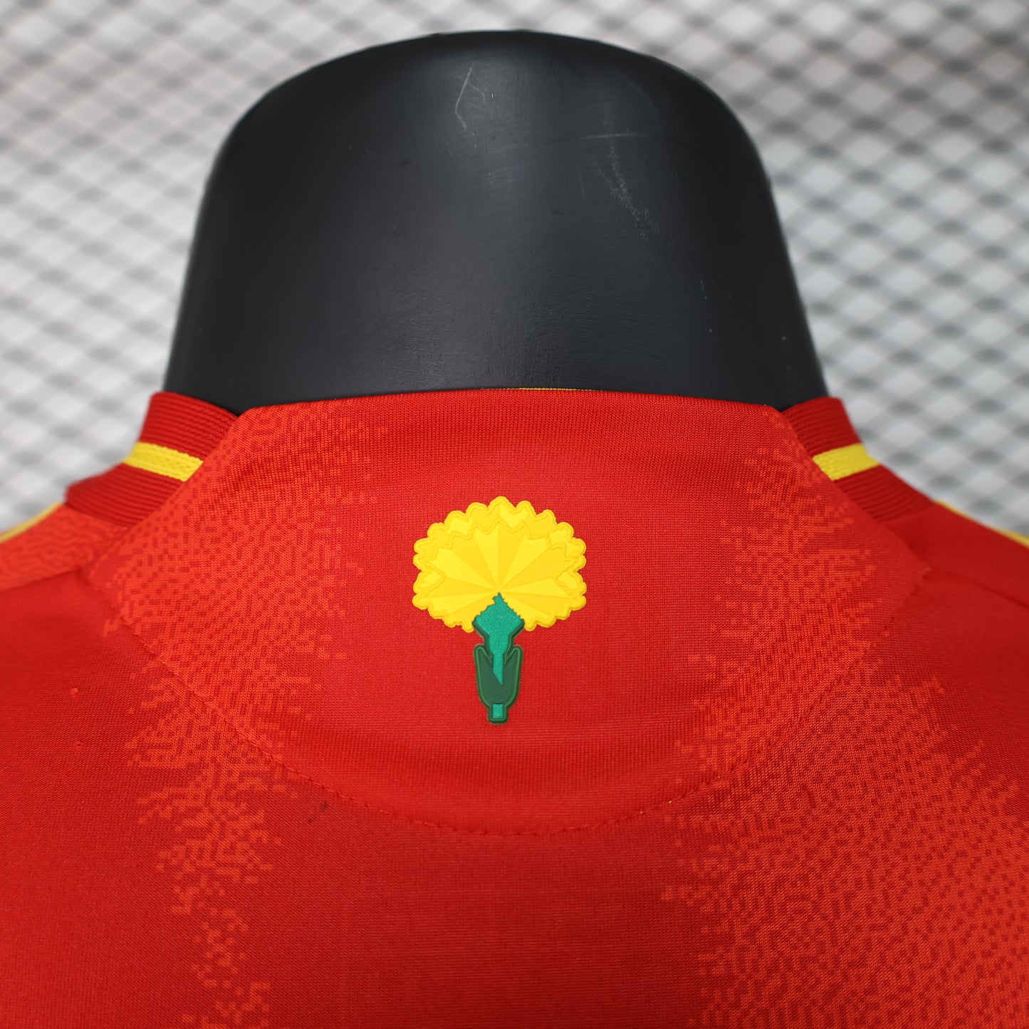 Spain 2024 EURO Home