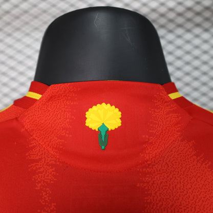 Spain 2024 EURO Home