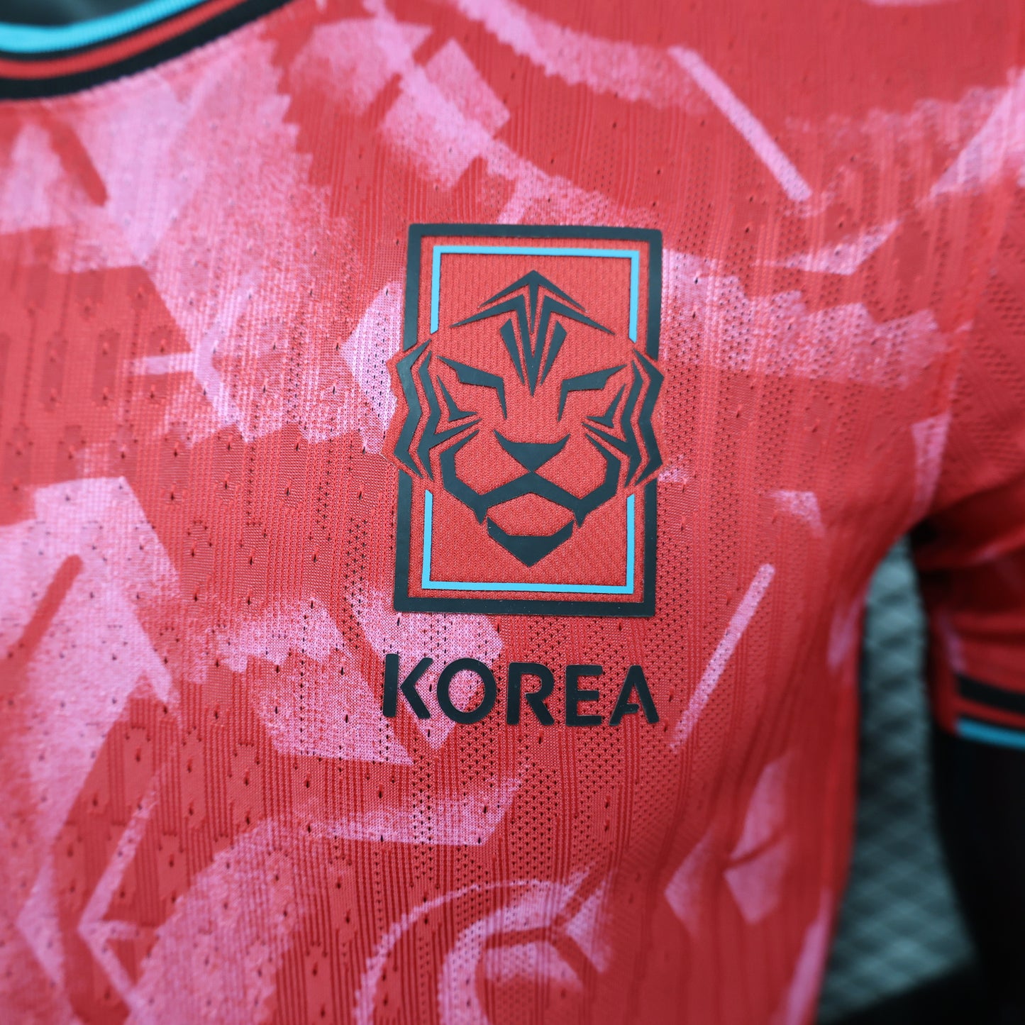 South Korea 2024/25 Home