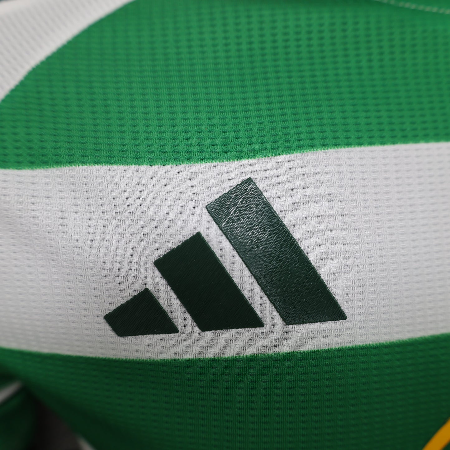 Celtic 2024/25 Home