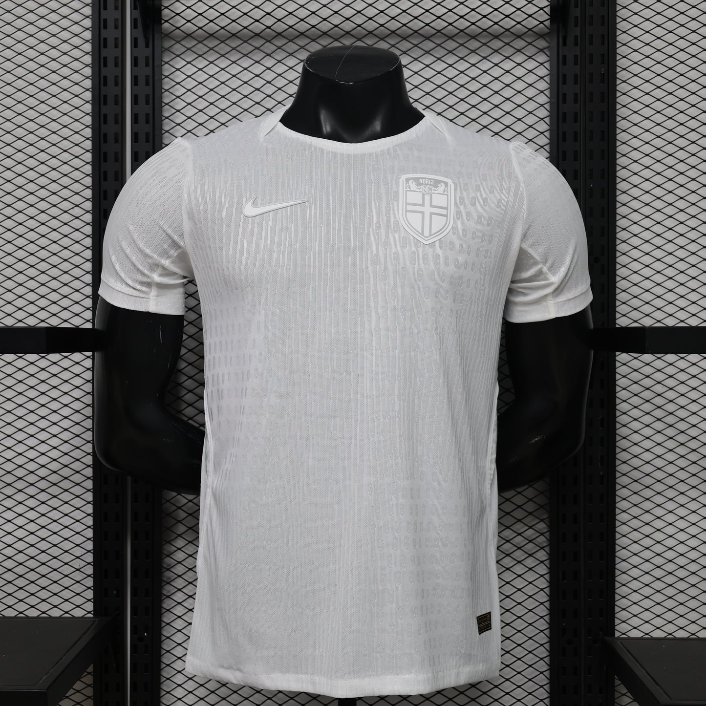 Norway 2026 World Cup Third