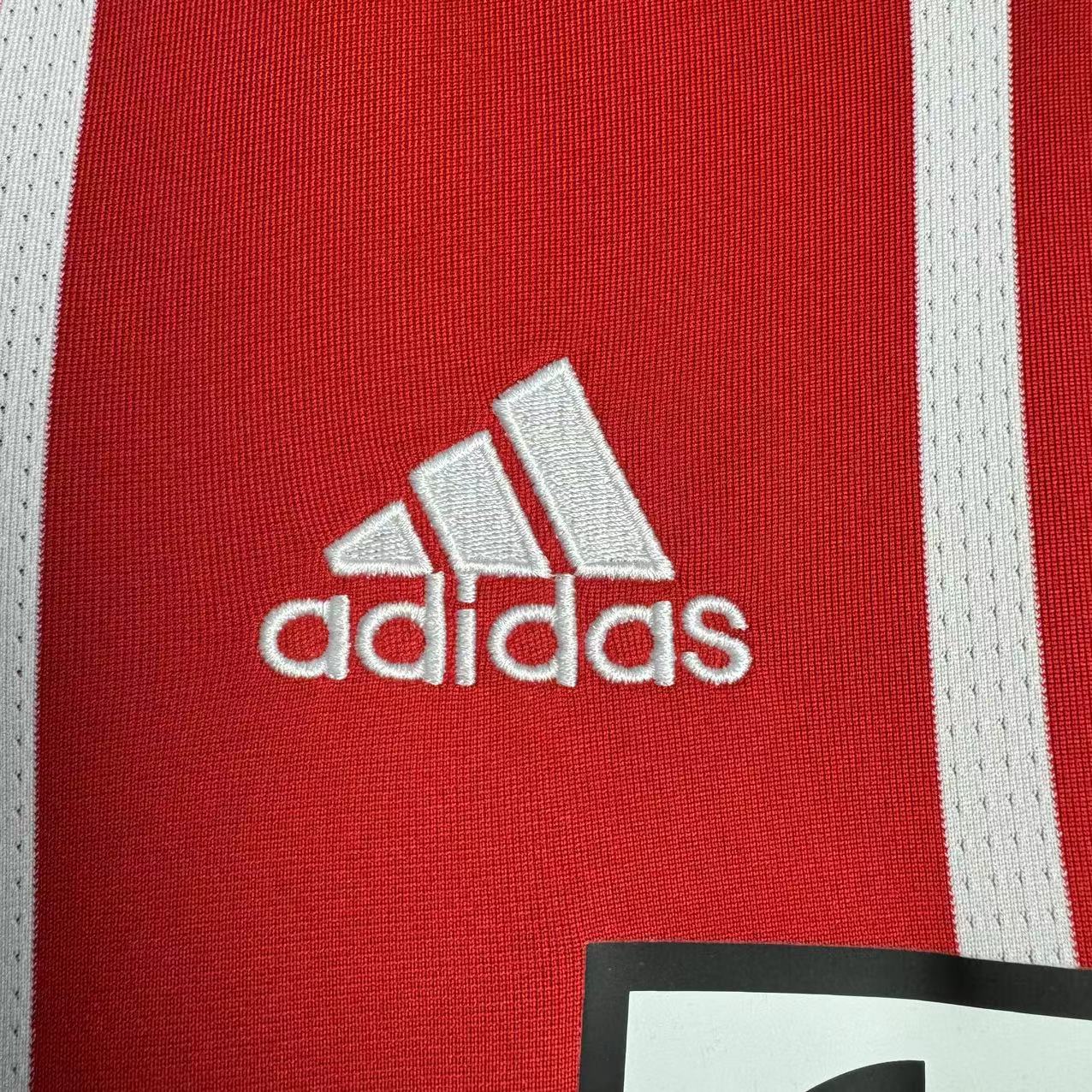Bayern Munich 2017/18 Home