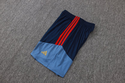 Bayern Munich Sleeveless Training Kit - Navy/Steel Blue/Red