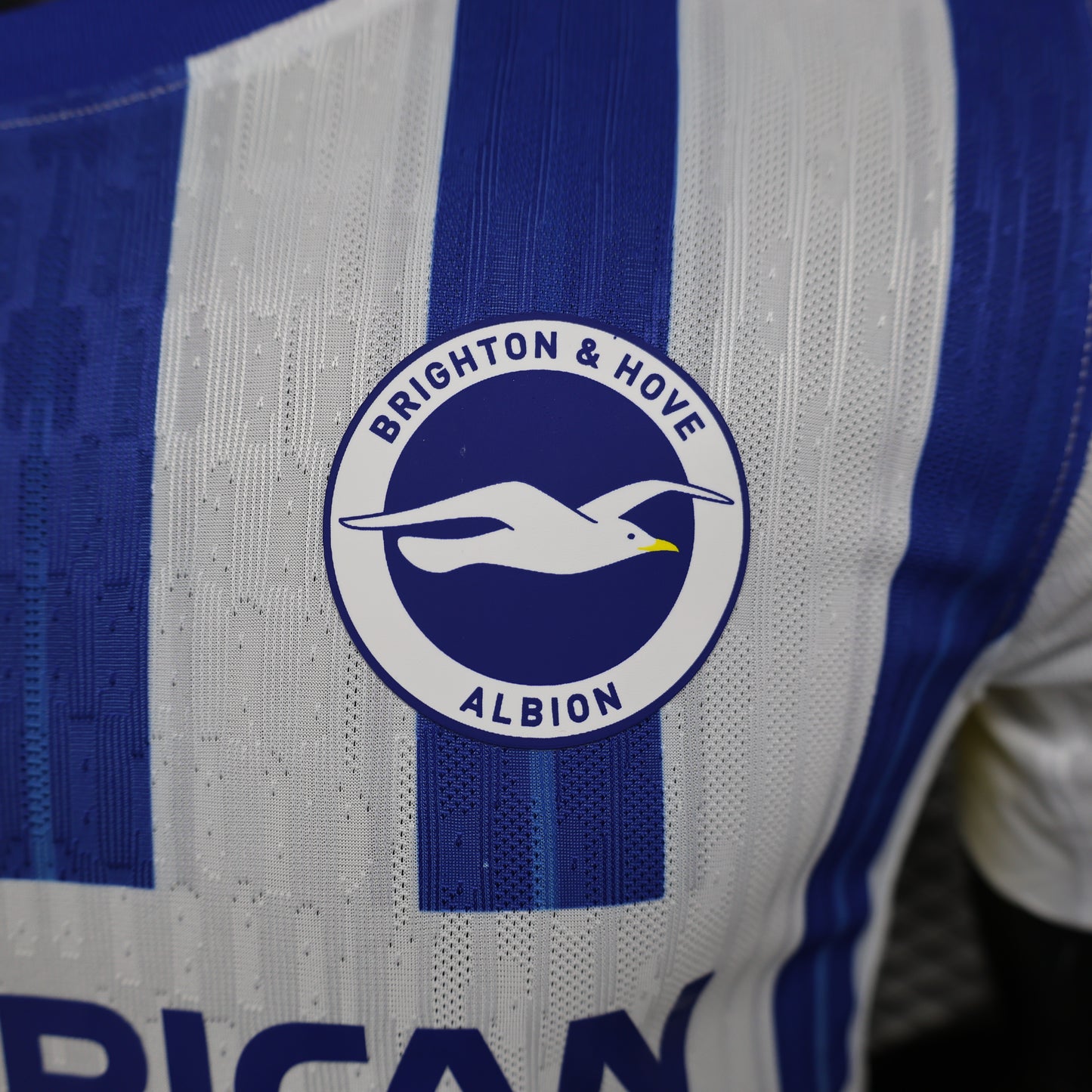 Brighton & Hove Albion 2024/25 Home