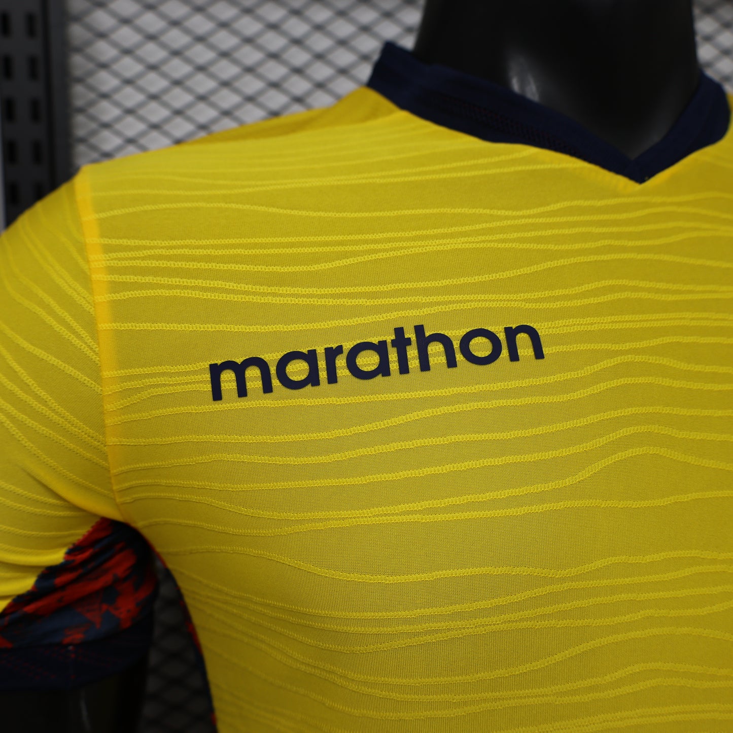 Ecuador 2026 World Cup Home
