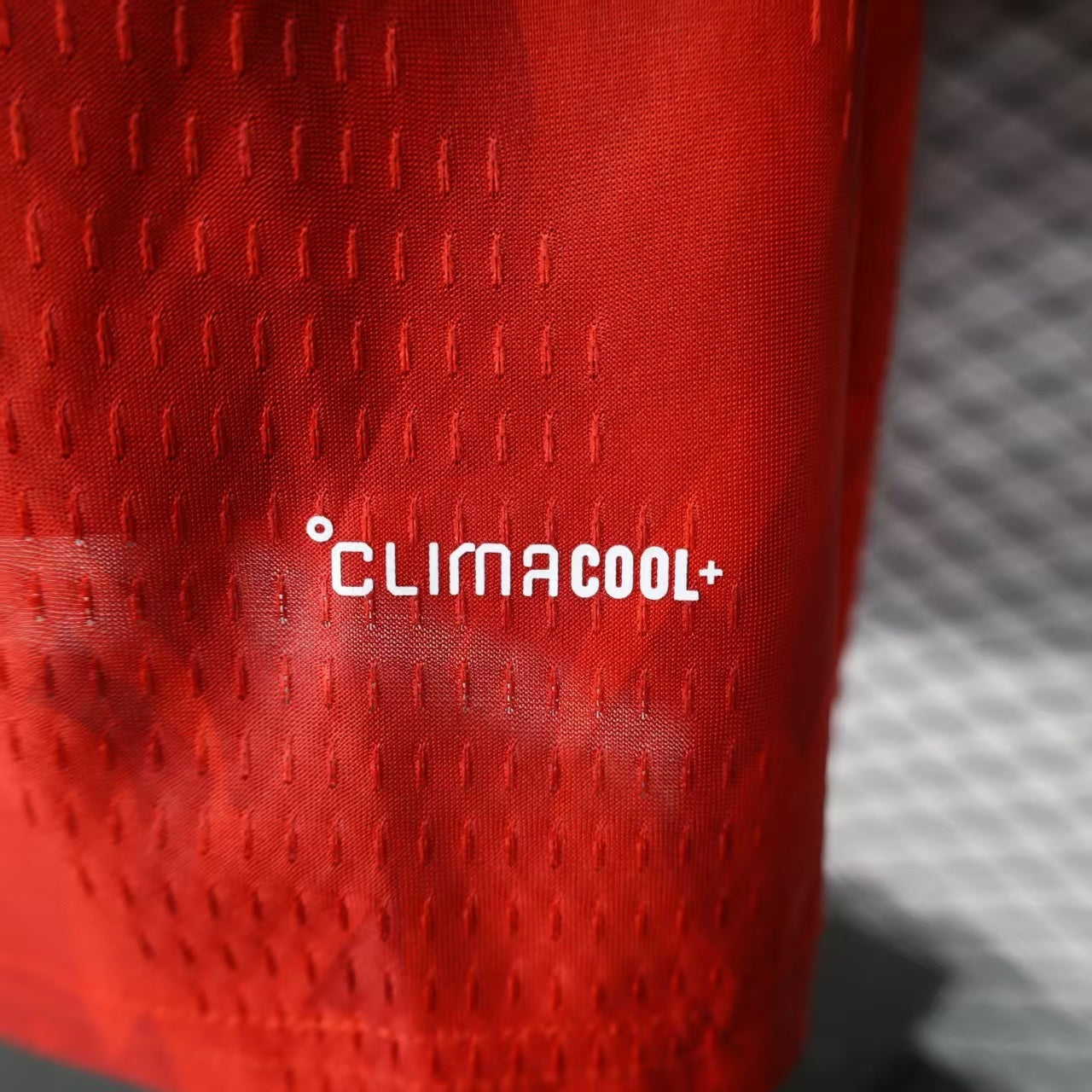 Belgium 2026 World Cup Home