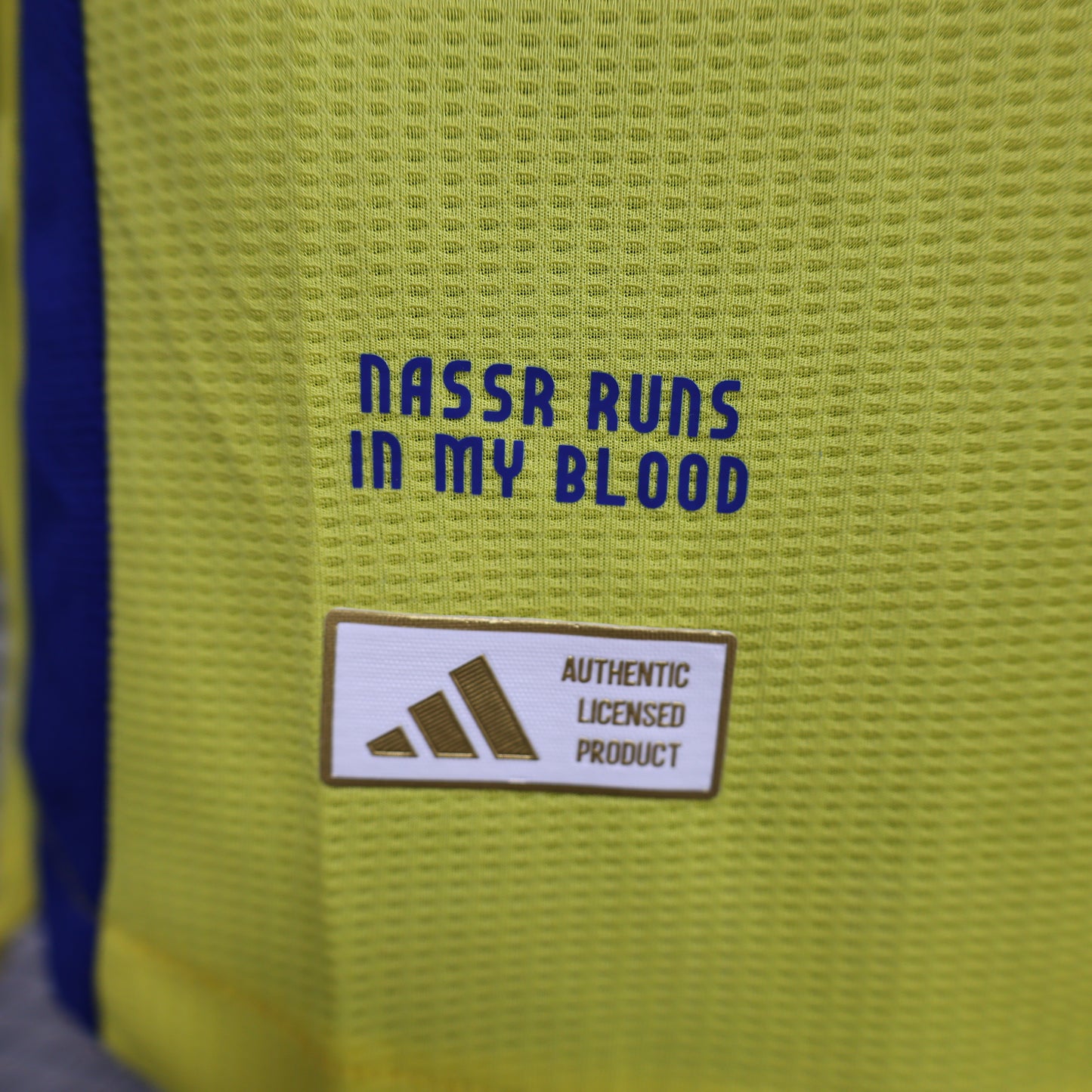 Al Nassr 2024/25 Home