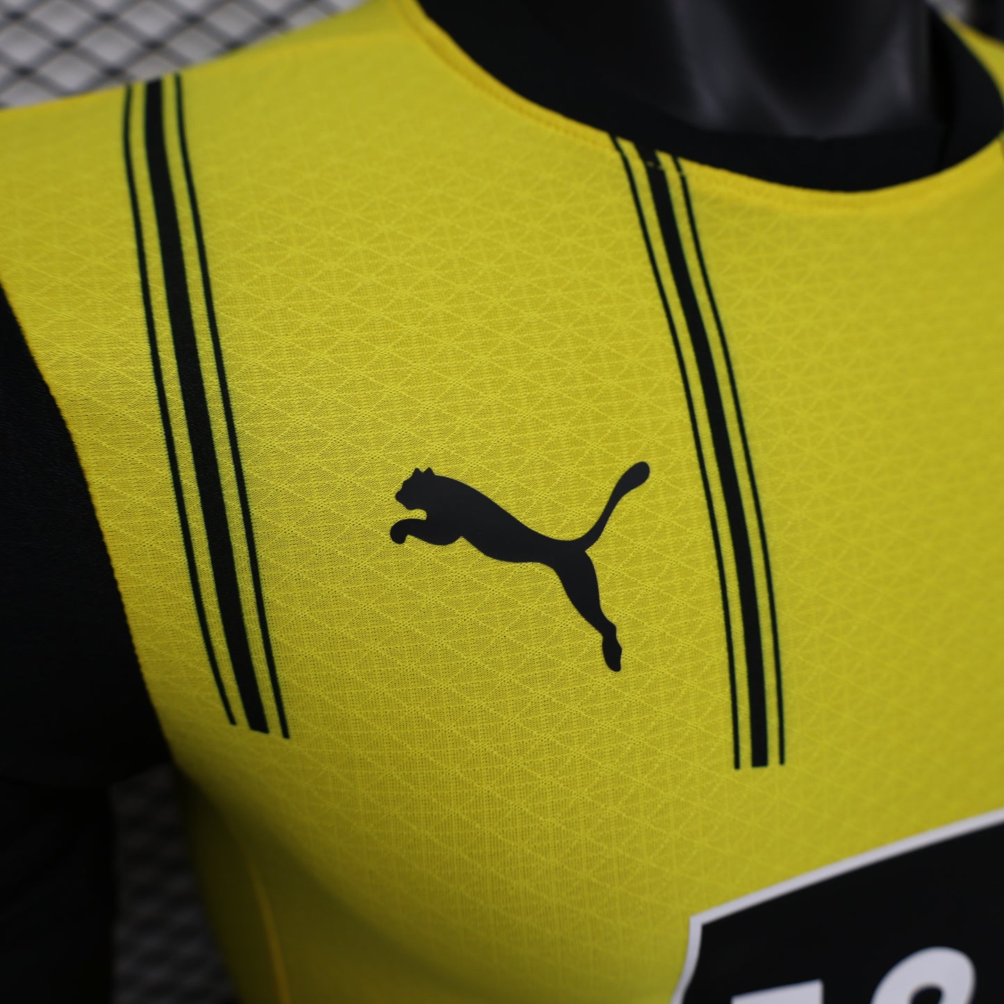 Borussia Dortmund 2024/25 Home