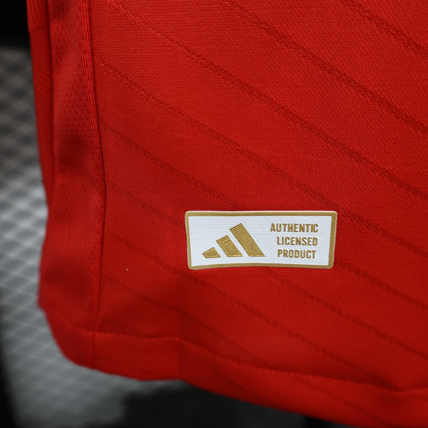 S.L. Benfica 2024/25 Home