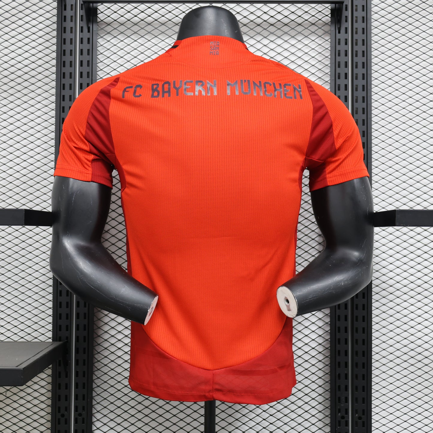 FC Bayern Munich 2024/25 Home