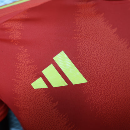 Spain 2024 EURO Home
